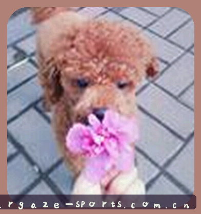 吴女士